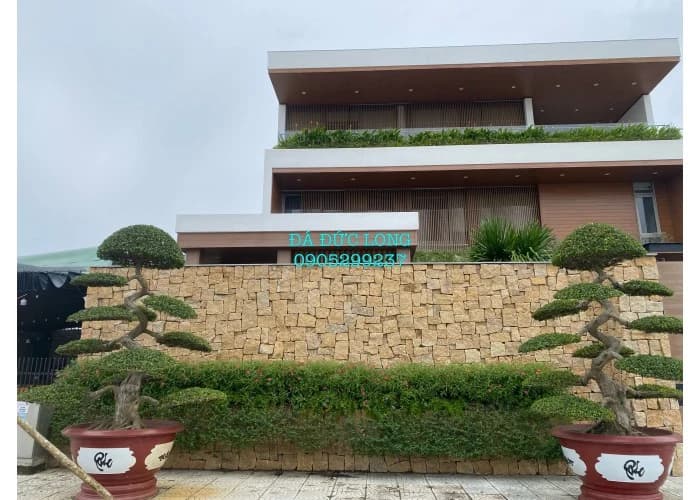 Đá Rối Vàng BĐ